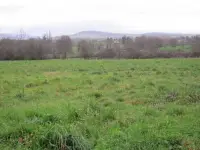 Terrain