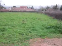 Terrain